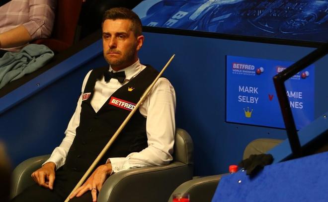 森林狼在引 森林狼在引