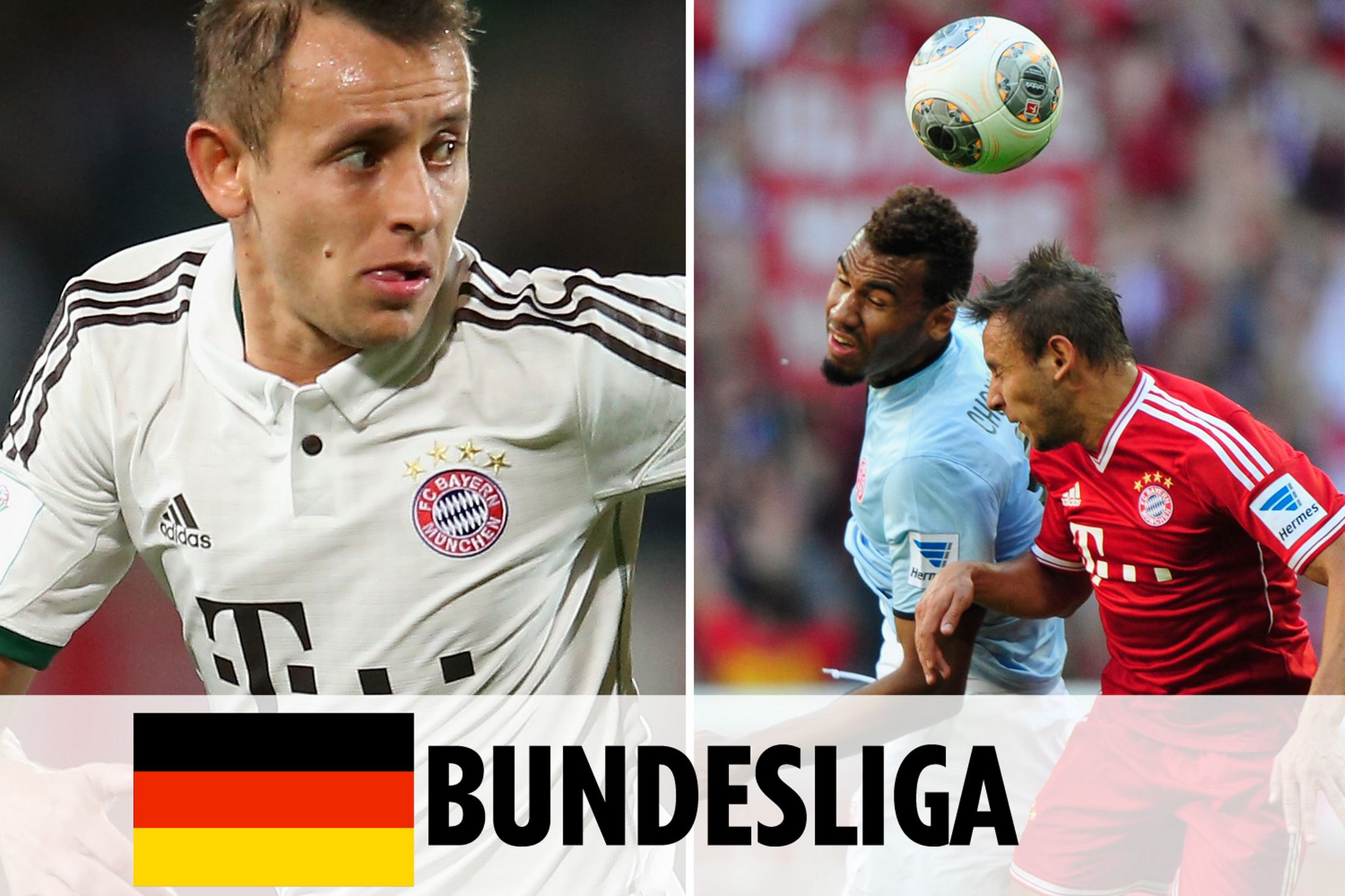 重要肯定 重要肯定